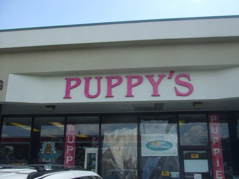 Humane Society: Fox Valley Mall's Furry Babies Store Linked to Puppy