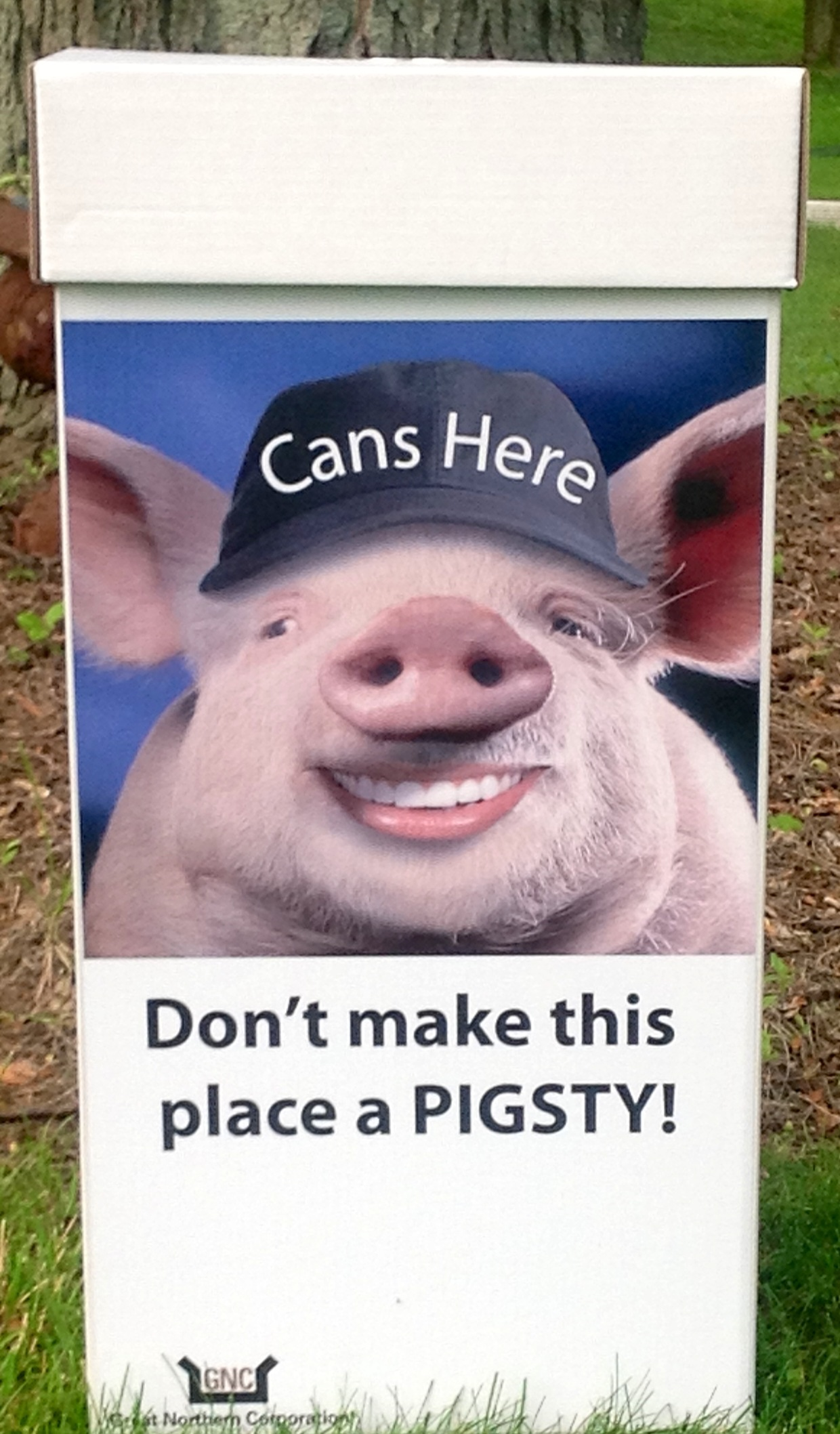 News small post card thumbnail