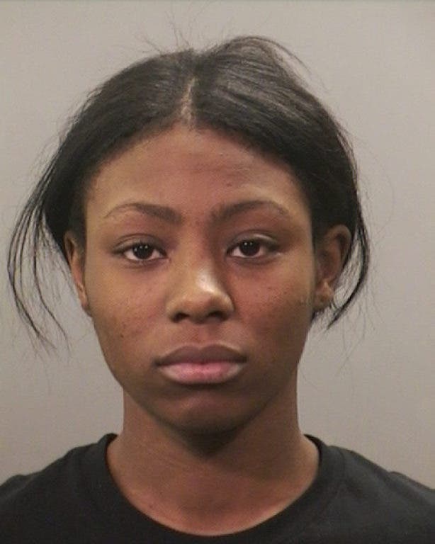 New Hyde Park Woman Among Arrestees for Check Forging | New Hyde Park ...