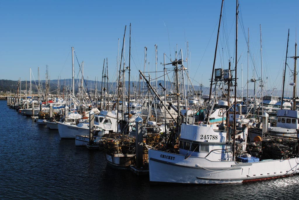 Coast Guard Searching for Boater Reported Missing from Pillar Point Harbor