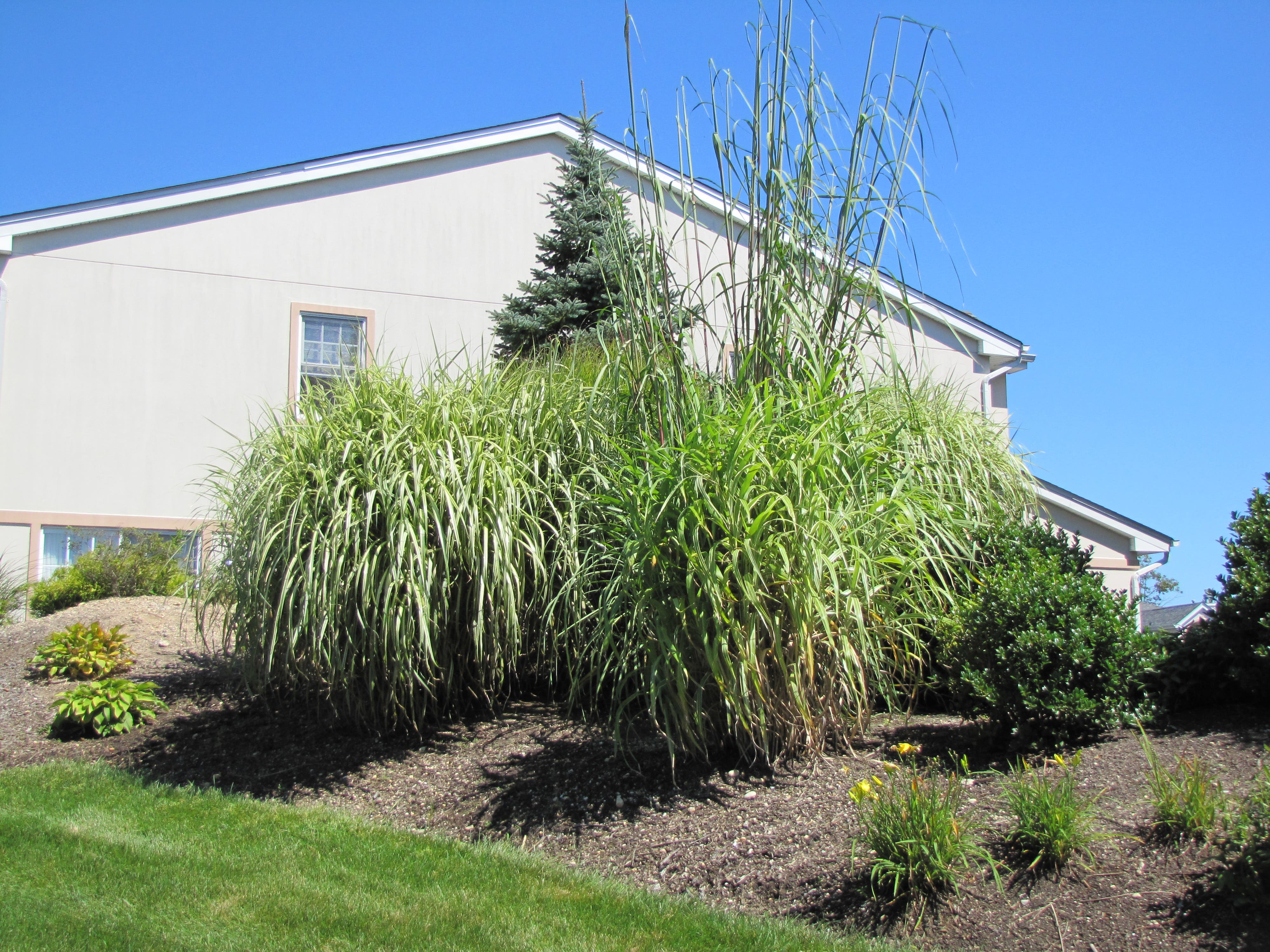 Touring The Greens in Melville Half Hollow Hills, NY Patch