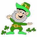 It's St. Paddy's Day! Come Celebrate