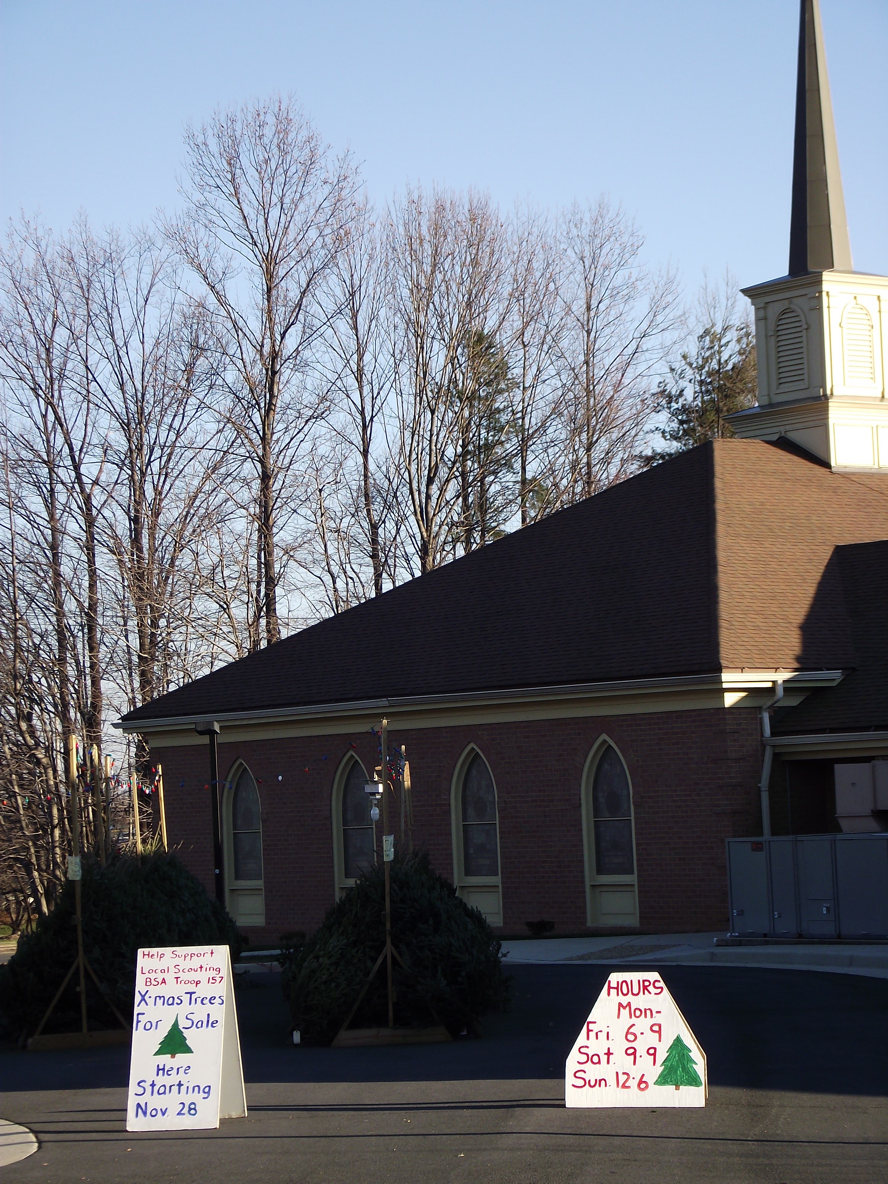 Christmas Tree Selection and Care Herndon, VA Patch