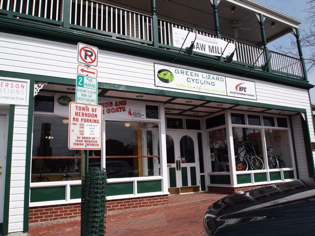 green lizard cycling