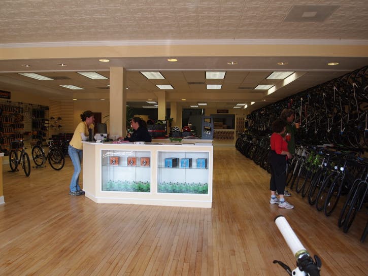 green lizard cycling