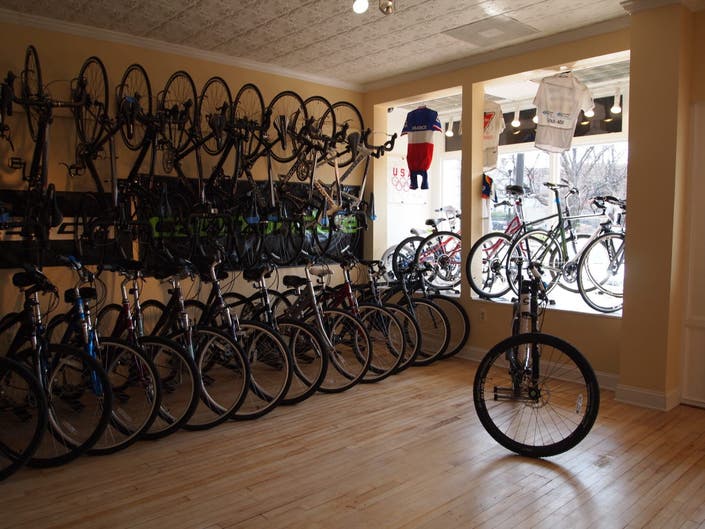 green lizard cycling