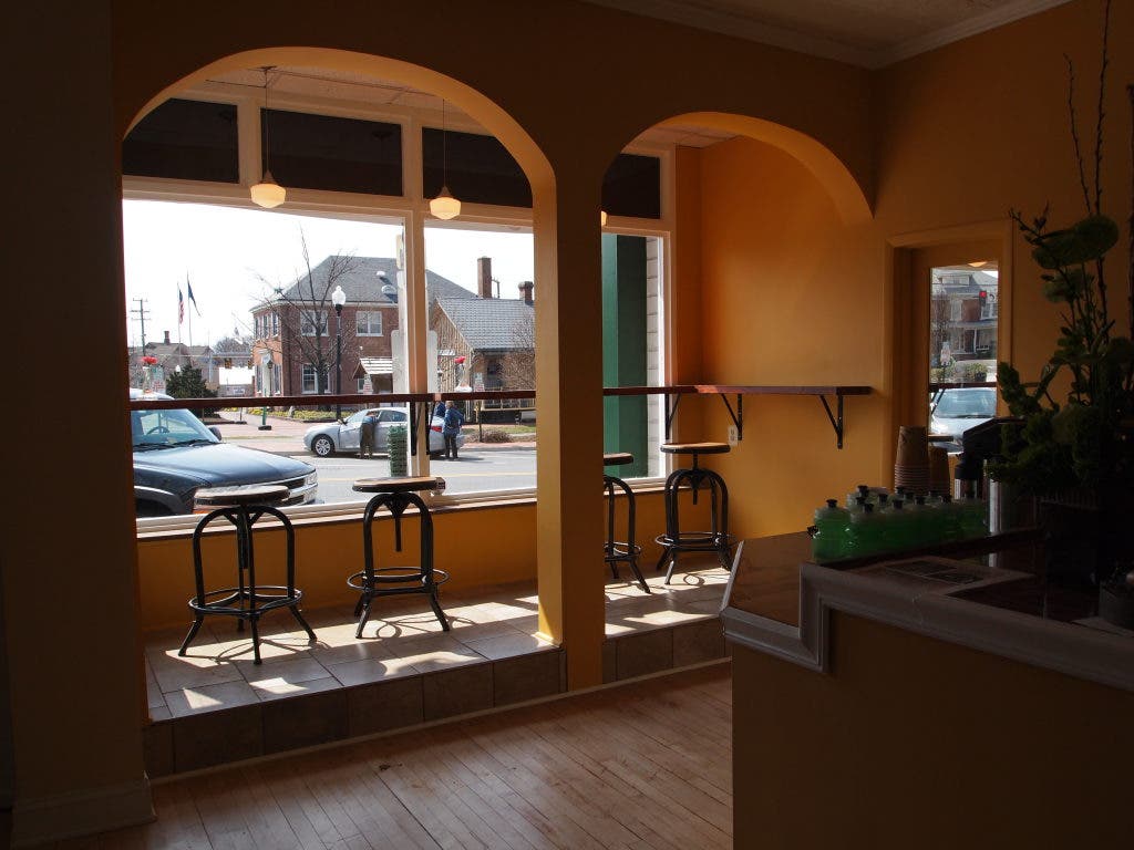 green lizard cycling