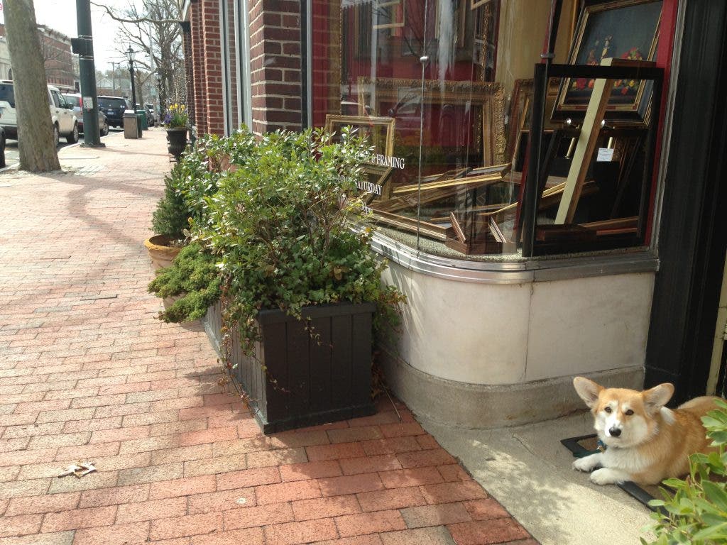 News small post card thumbnail