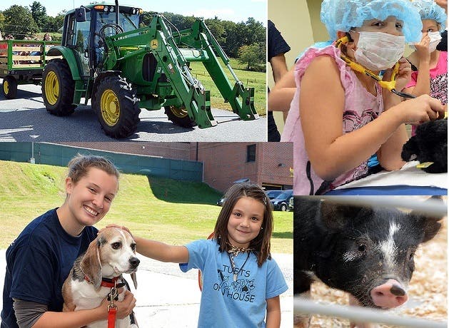 News small post card thumbnail