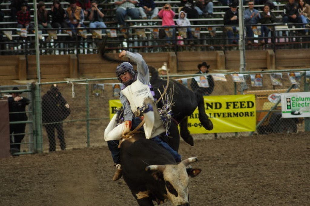 bull ride pool