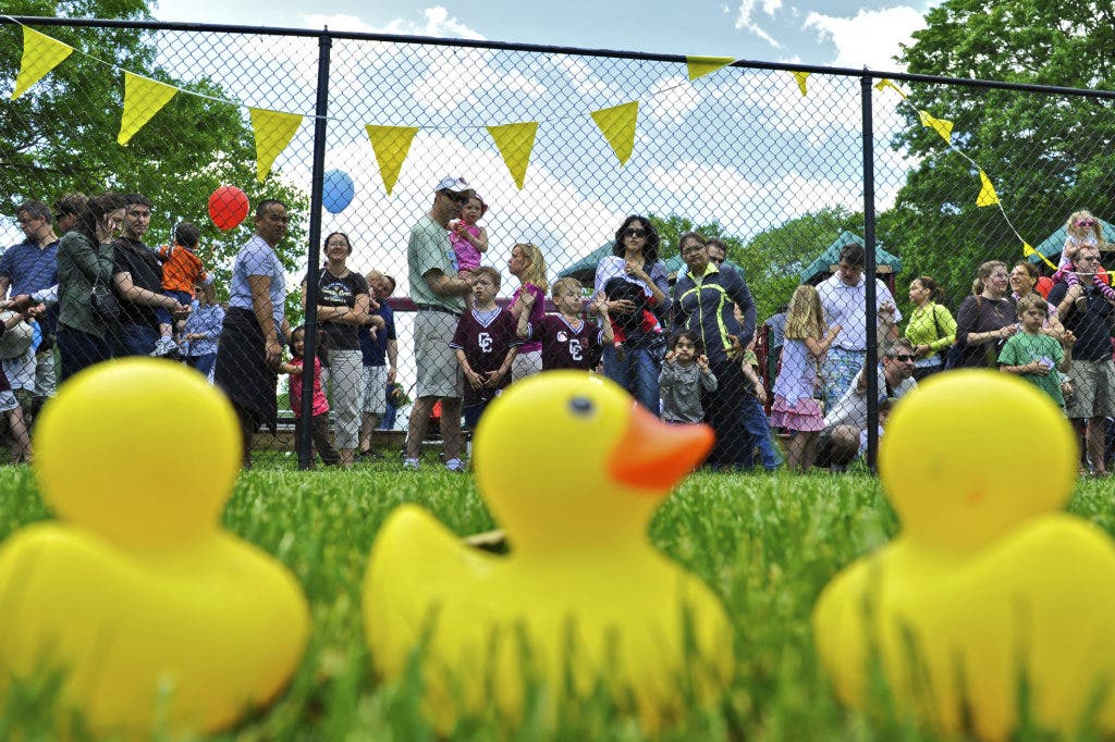 Will You Have the Lucky Duck? Milldam's Ducky Race is This Weekend ...