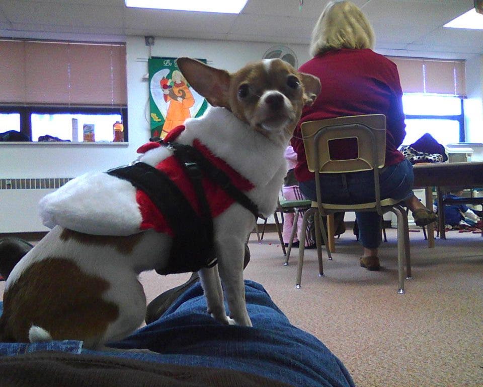 News small post card thumbnail