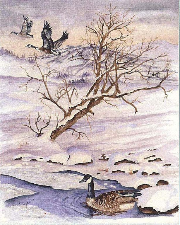 News small post card thumbnail