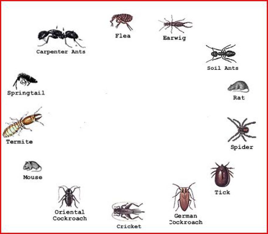 https://patch.com/img/cdn/users/413170/2011/04/raw/6a3e236d25dfede18f72a07154994aec.jpg
