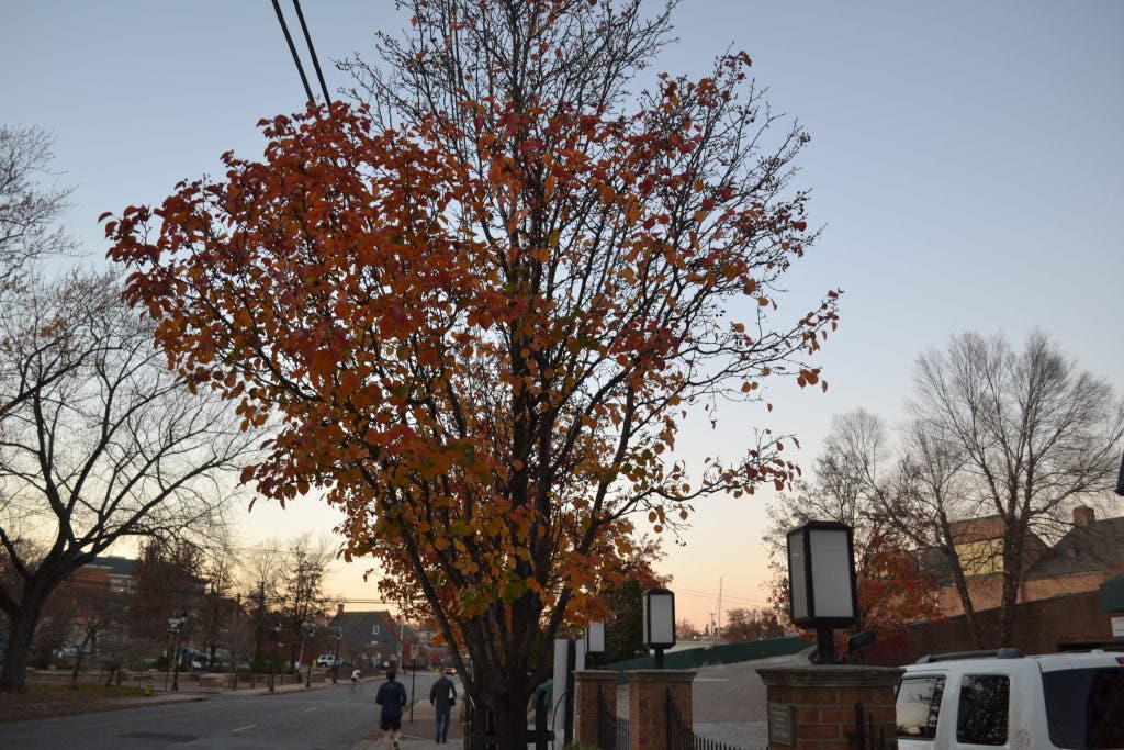 Share Your Fall Foliage Photos
