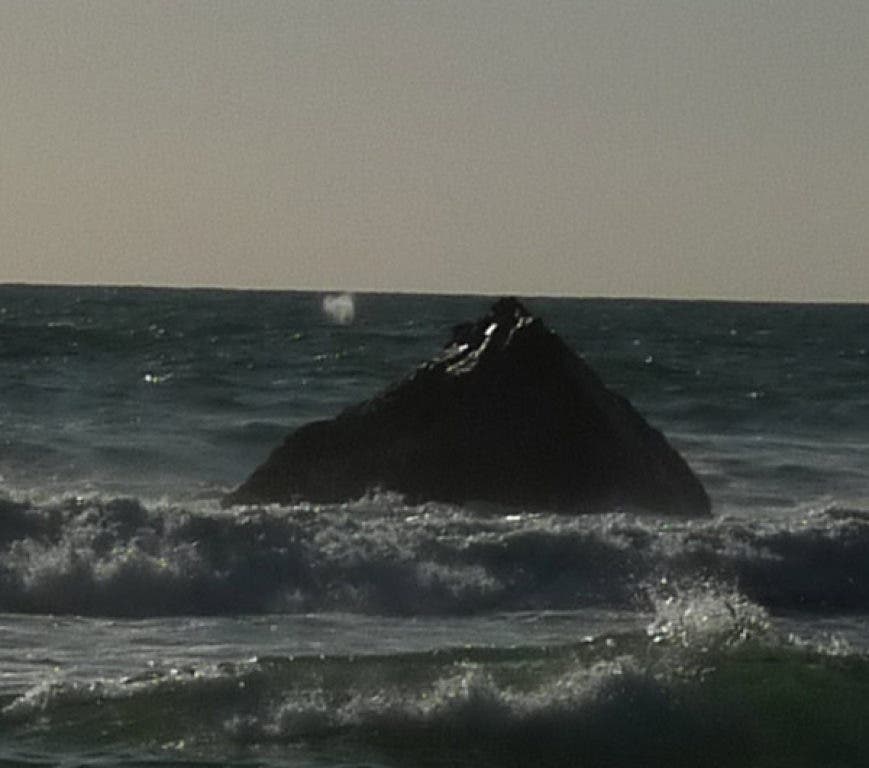 Whales Hanging Around Rockaway