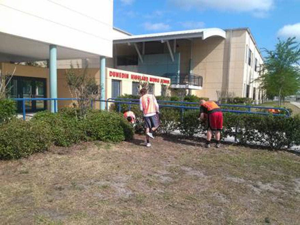 News small post card thumbnail