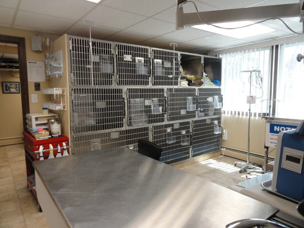 Open For Business North Andover Haverhill Animal Hospital North