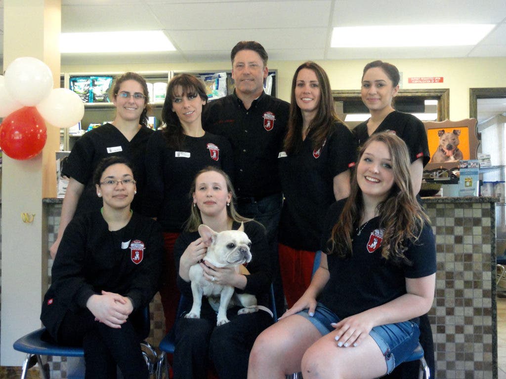 Open For Business North Andover Haverhill Animal Hospital North