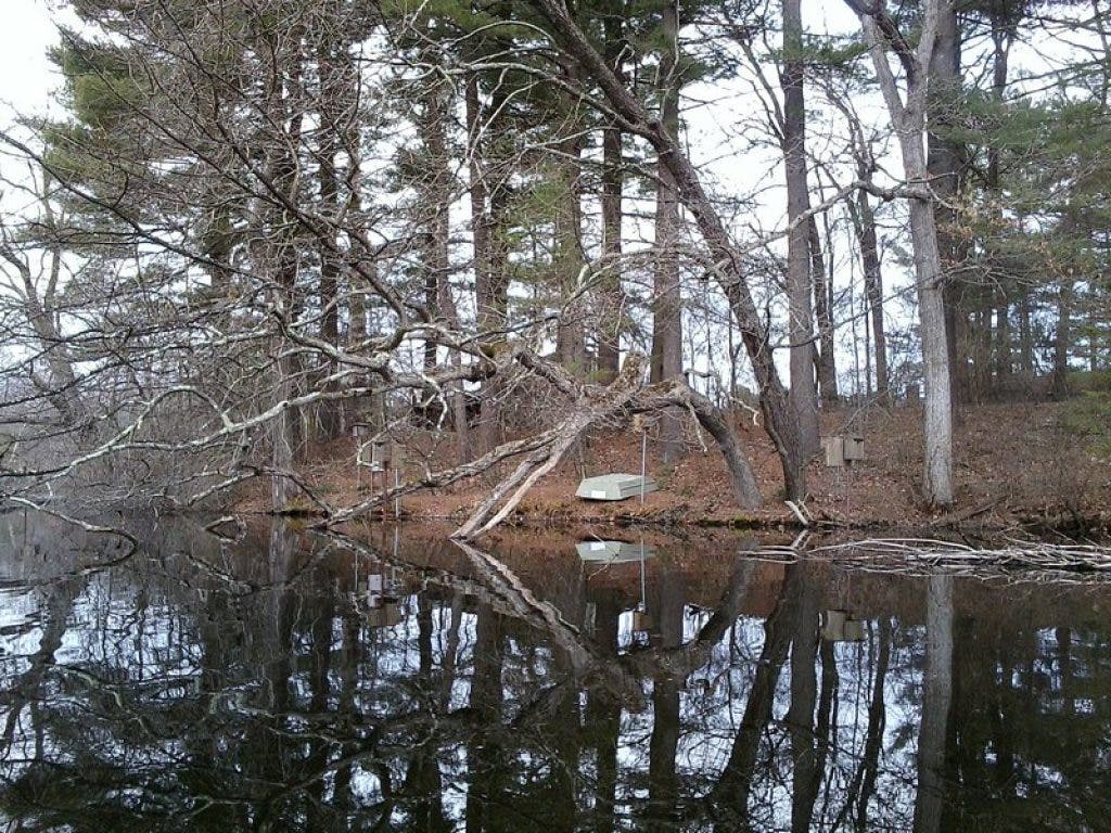The Gem that is Bartlett Pond Northborough, MA Patch