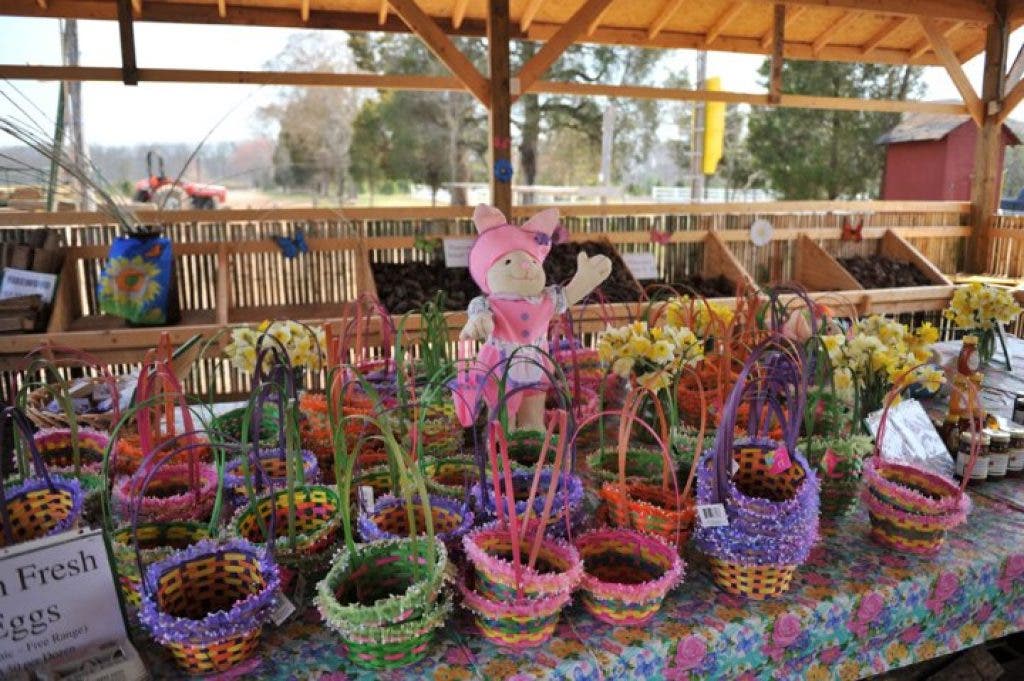 Ticonderoga Farm Bring The Kids Chantilly, VA Patch