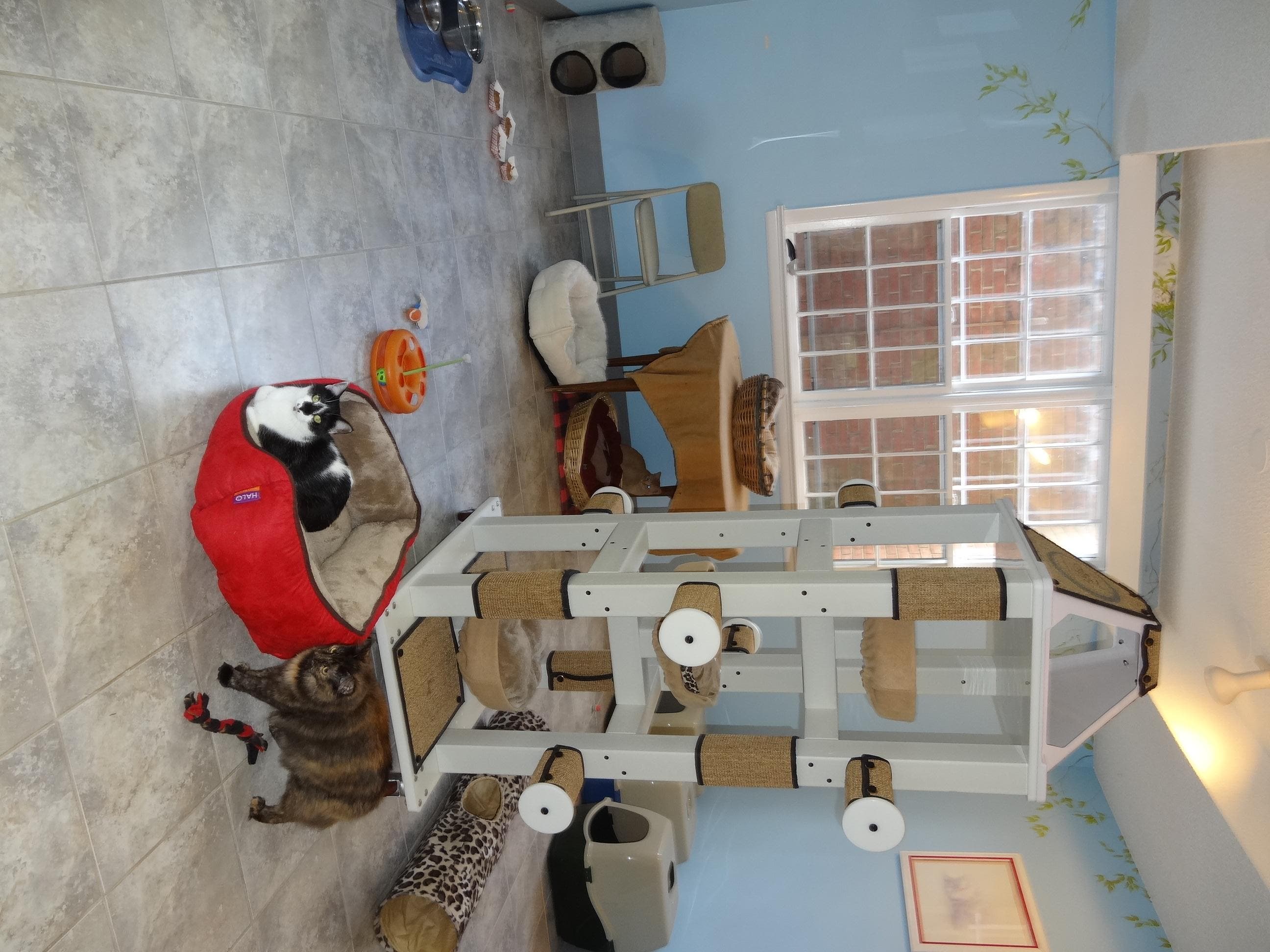 Humane Society of Fairfax County Celebrates 50 Years | Centreville, VA ...