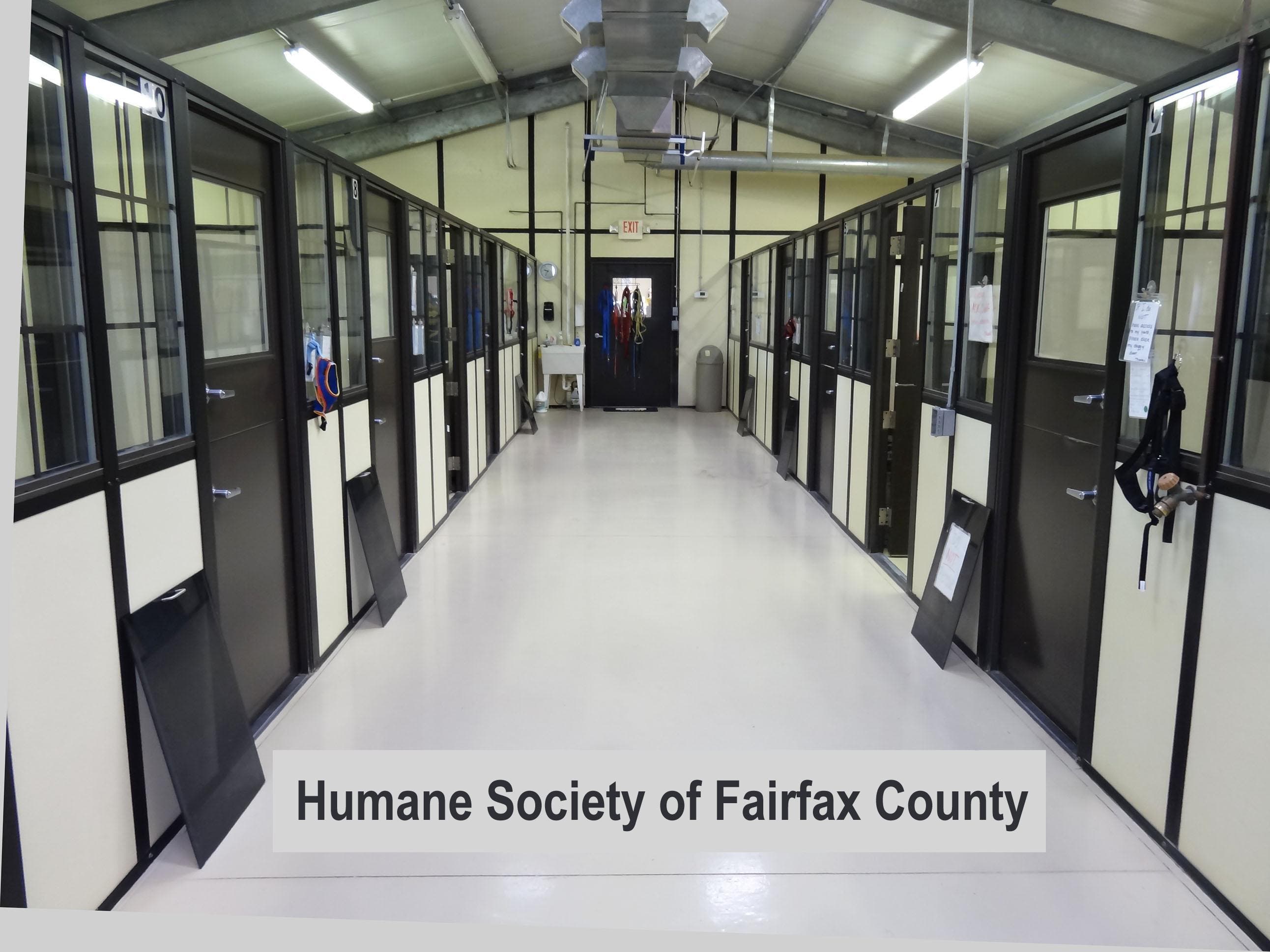 Humane Society of Fairfax County Celebrates 50 Years | Centreville, VA ...