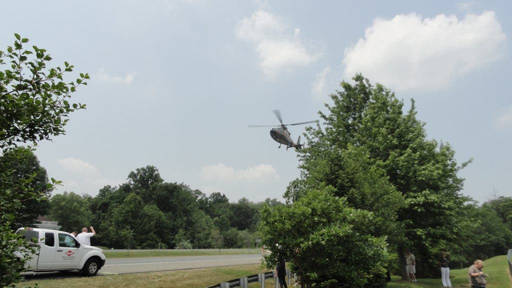 Man Flown to Shock Trauma After Falling From Tree | Bel Air, MD Patch