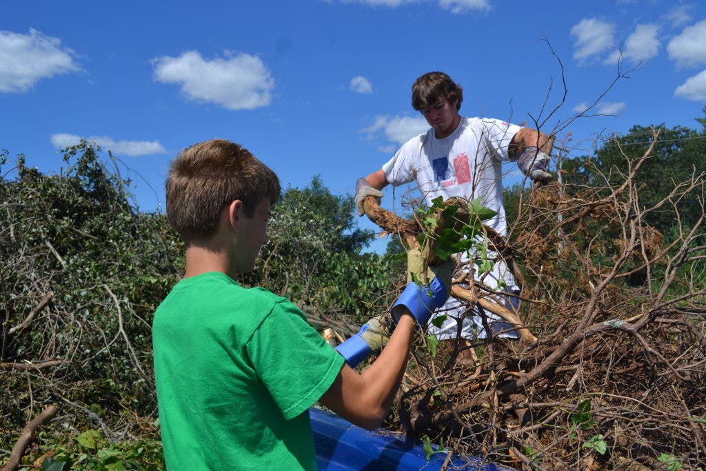 News small post card thumbnail