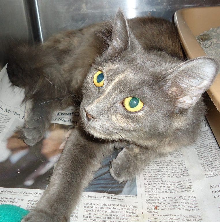 News small post card thumbnail