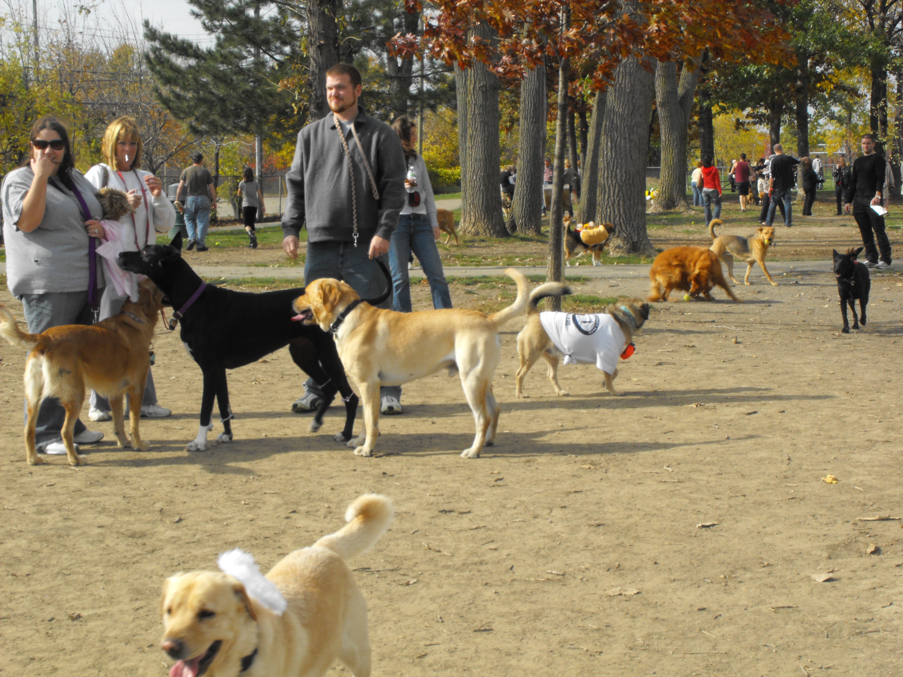 St Clair Shores Dog Park Expansion St. Clair Shores, MI Patch