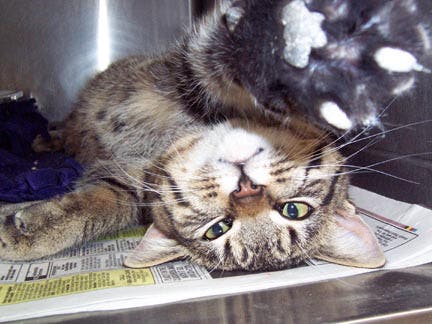 News small post card thumbnail