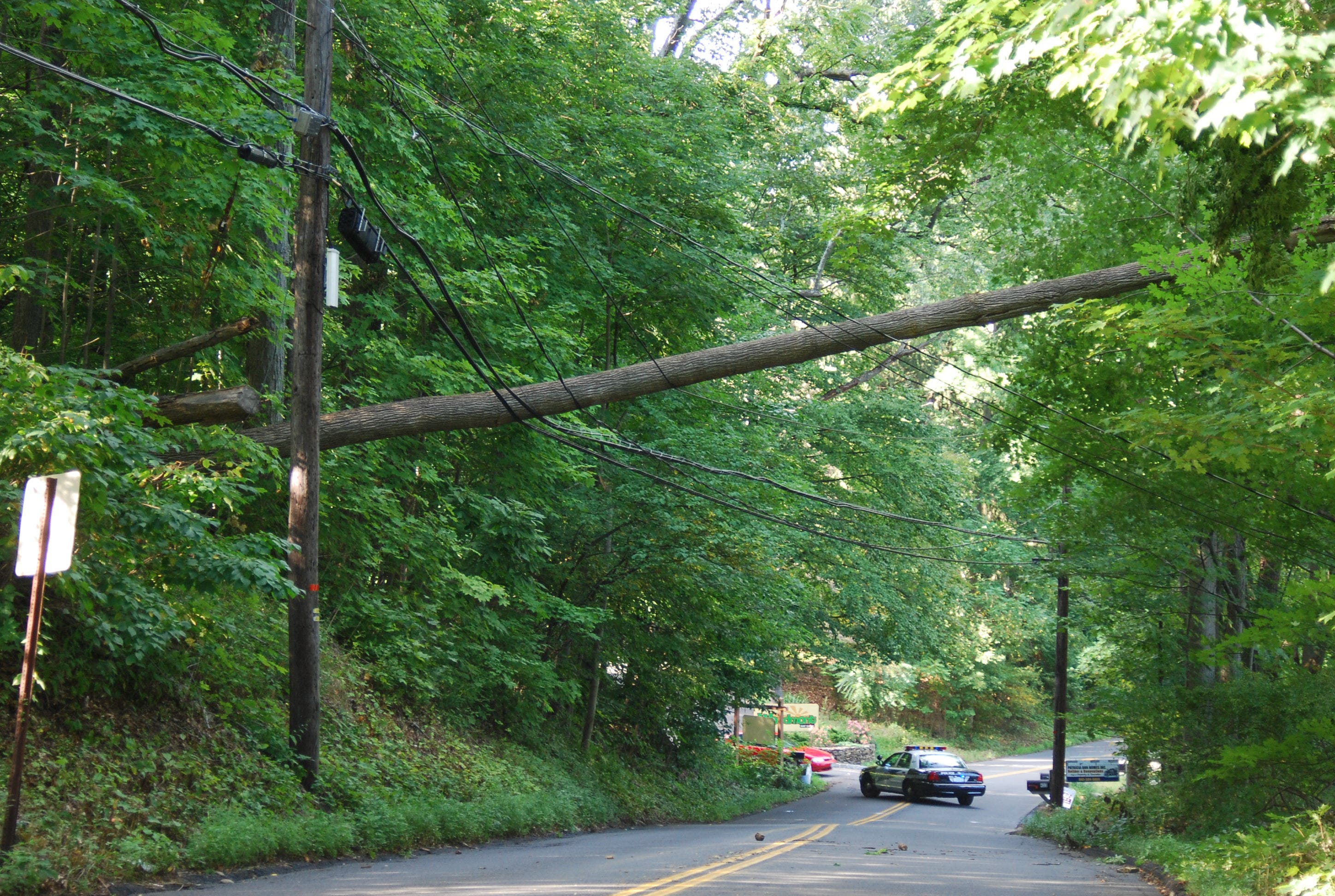Road Closed: Tree Falls, Gets Tangled in Power Lines | New City, NY Patch
