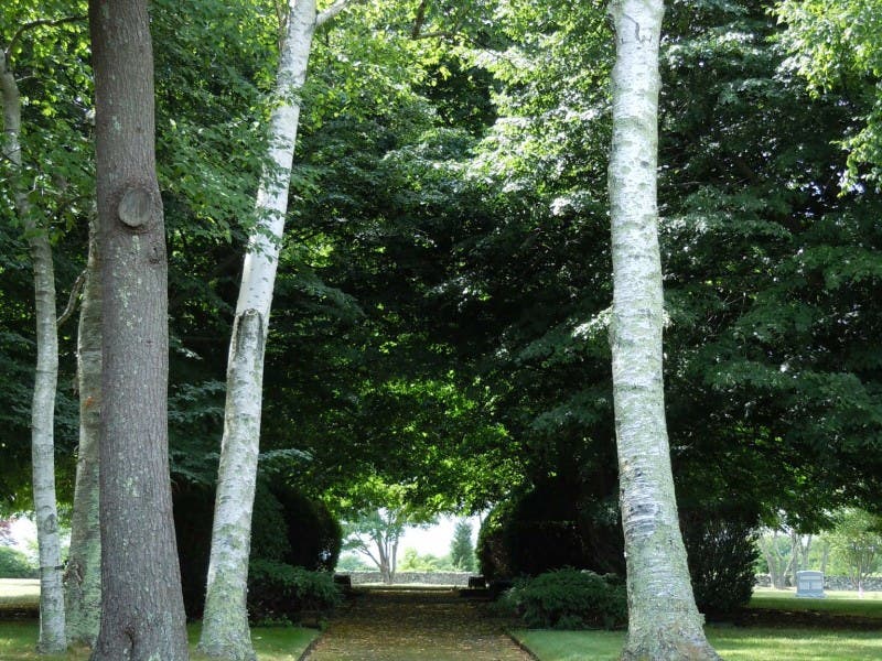 72 Acres on Aquidneck Island Just Got Preserved in Perpetuity Newport