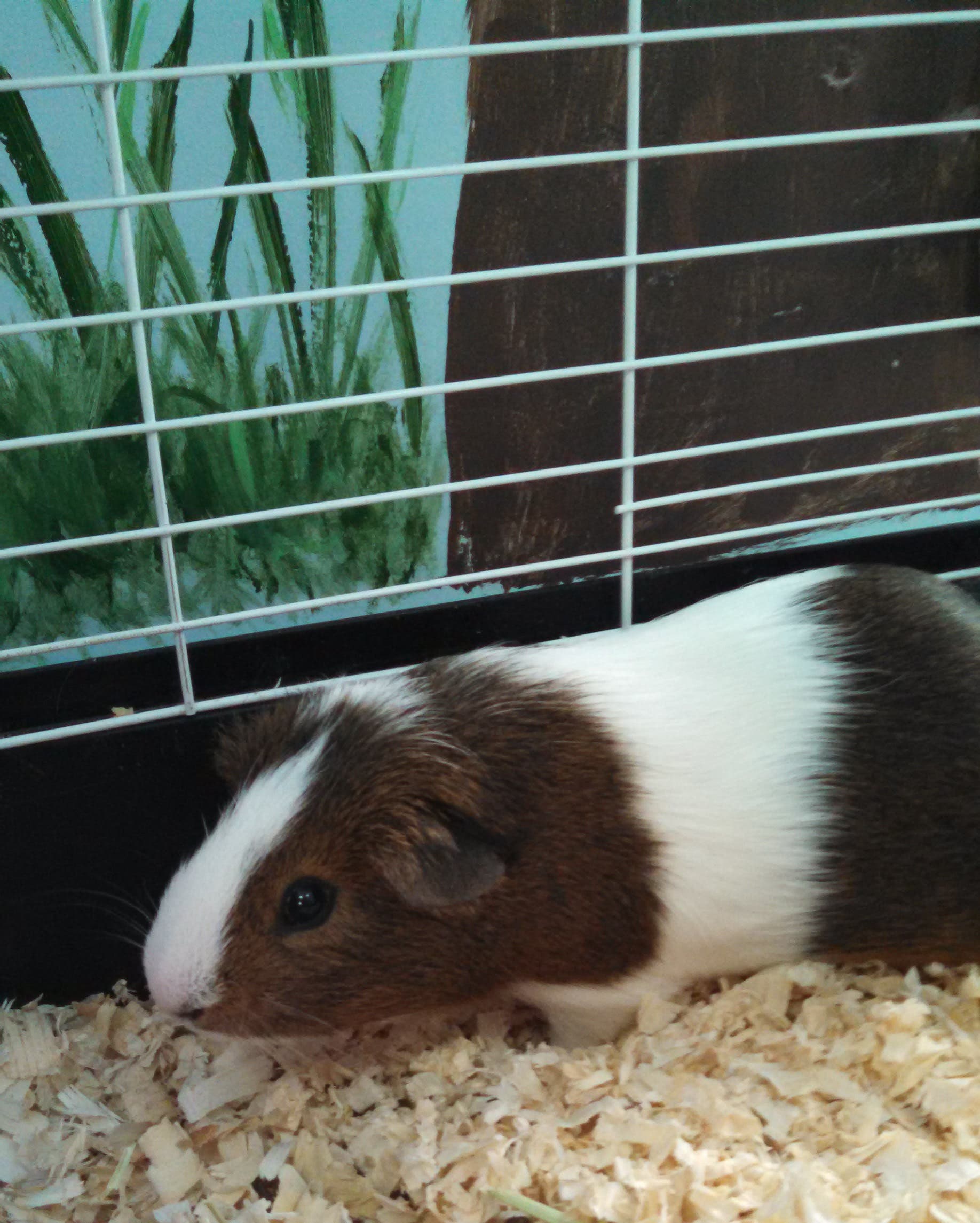 News small post card thumbnail