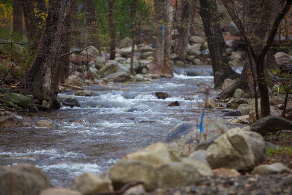 Rescue Company 1 Saves Kayaker in Ramapo River