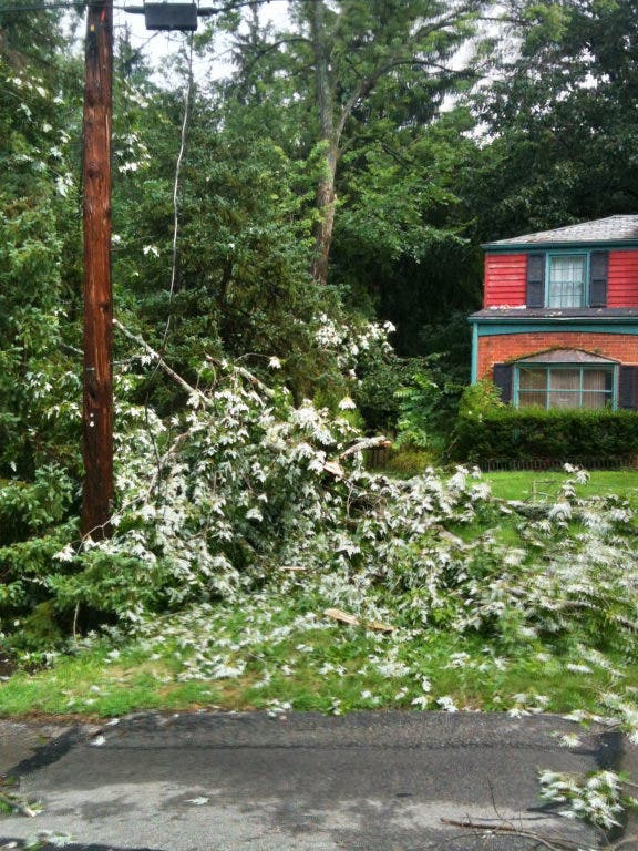 News small post card thumbnail