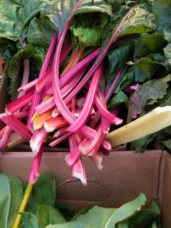 Oakton Smart Market Rhubarb is Here Oakton, VA Patch