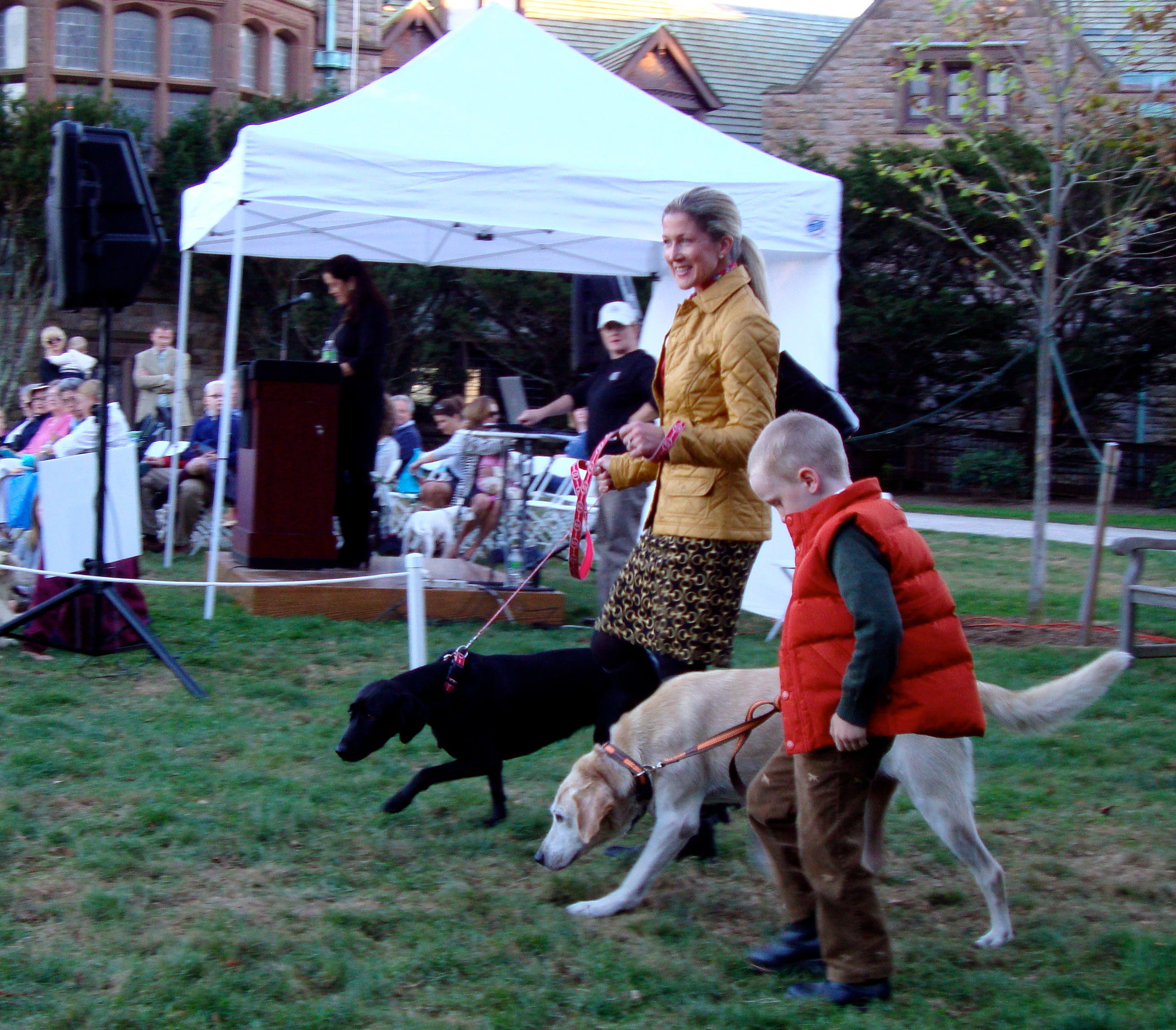 A Howling Good Time at the Doggy Fashion Show Newport, RI Patch