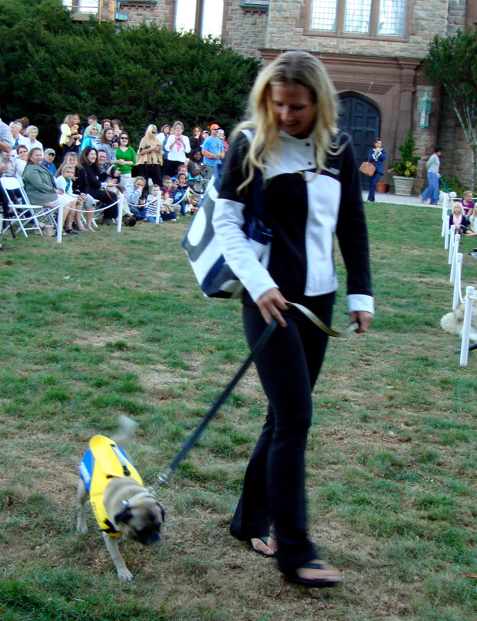A Howling Good Time at the Doggy Fashion Show Newport, RI Patch