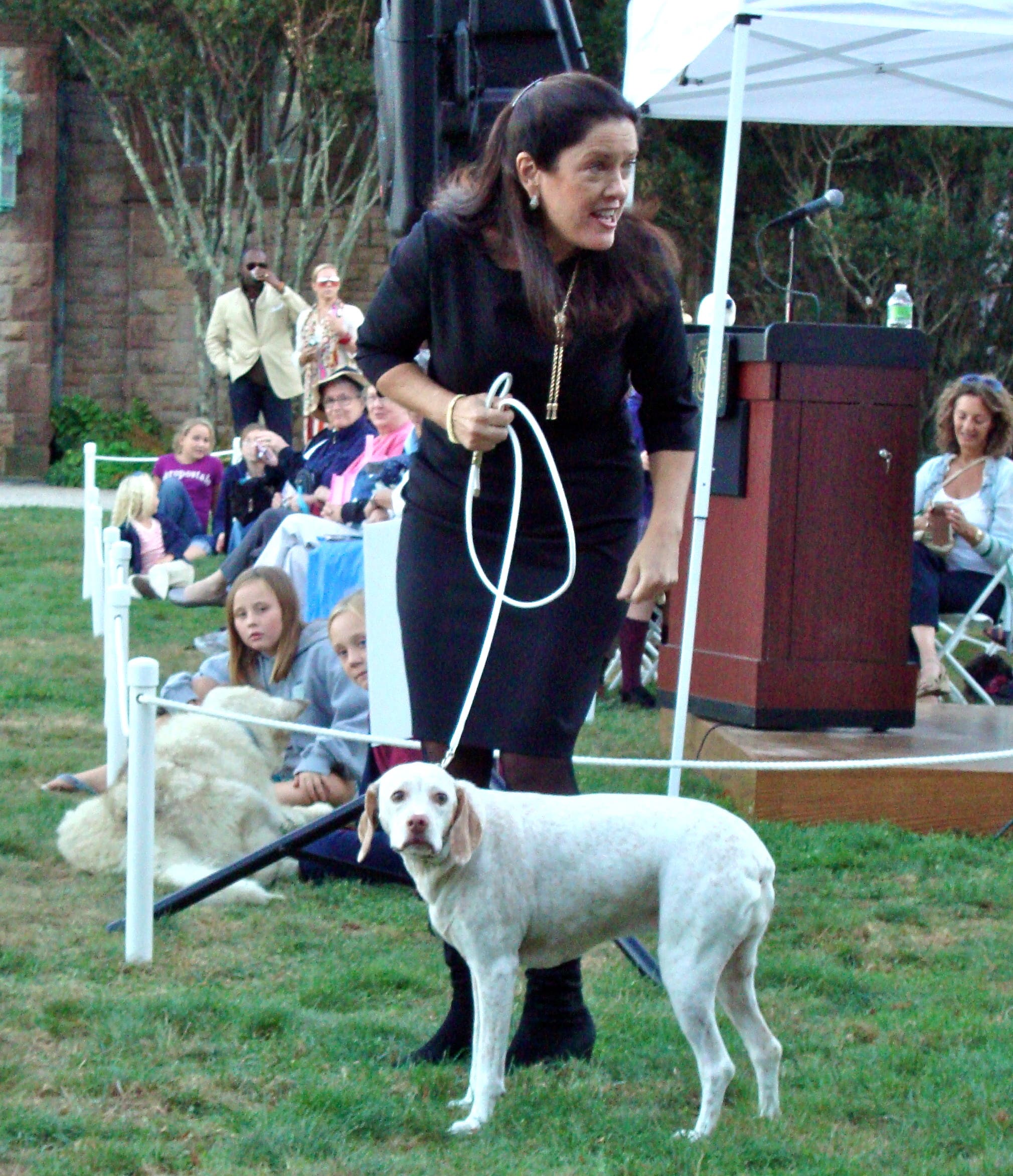 A Howling Good Time at the Doggy Fashion Show Newport, RI Patch