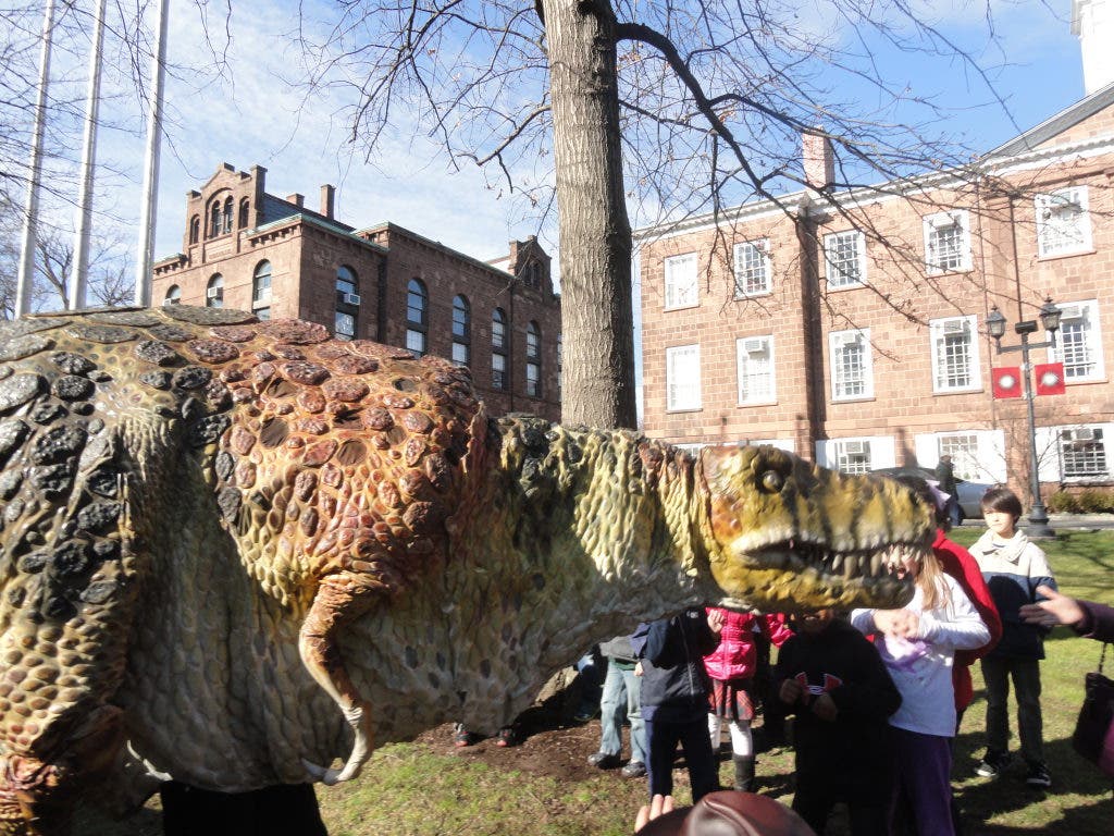 Rutgers University's Geology Museum Holds Open House | New Brunswick