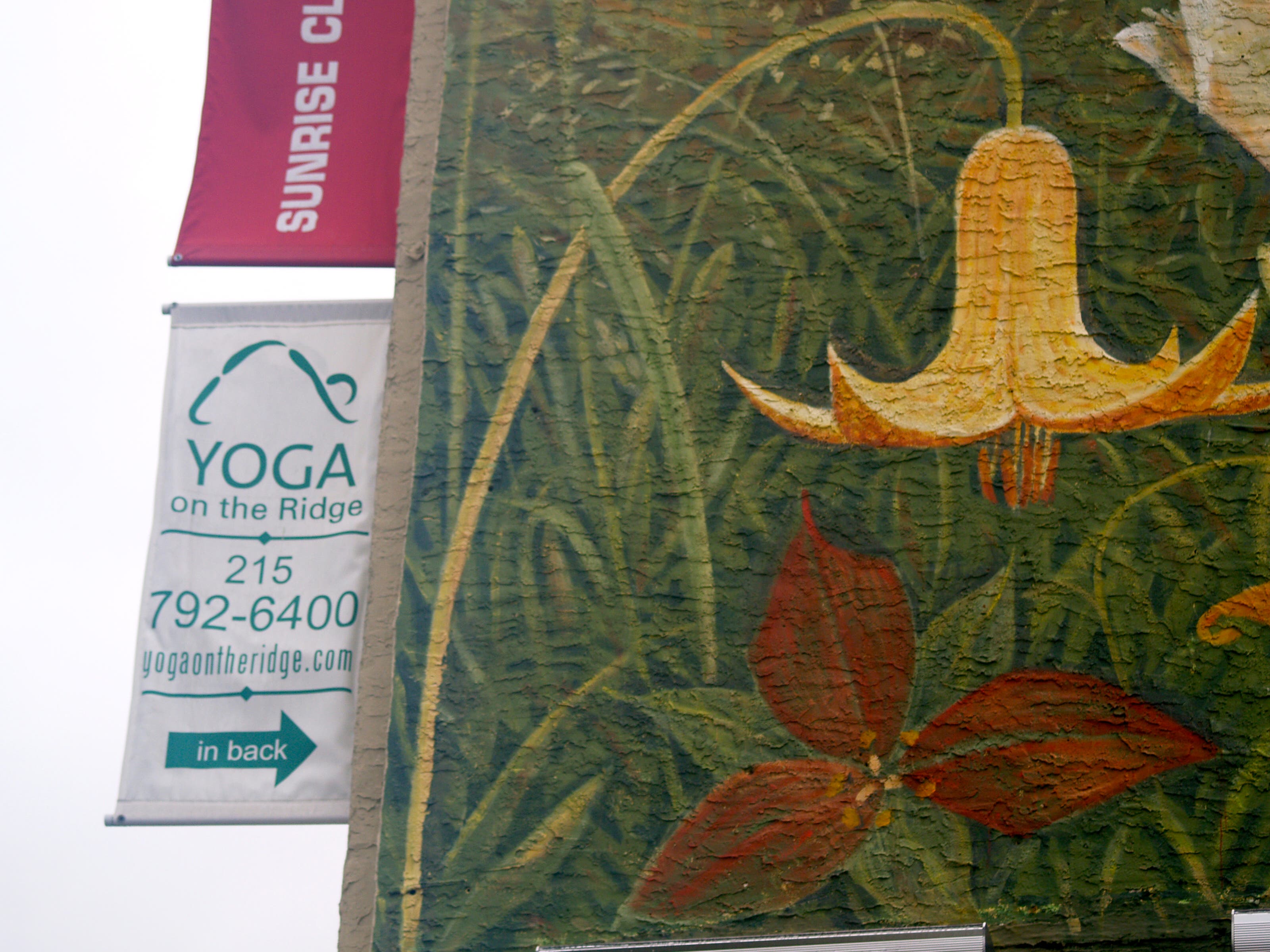 Yoga On Ridge Looking to Expand