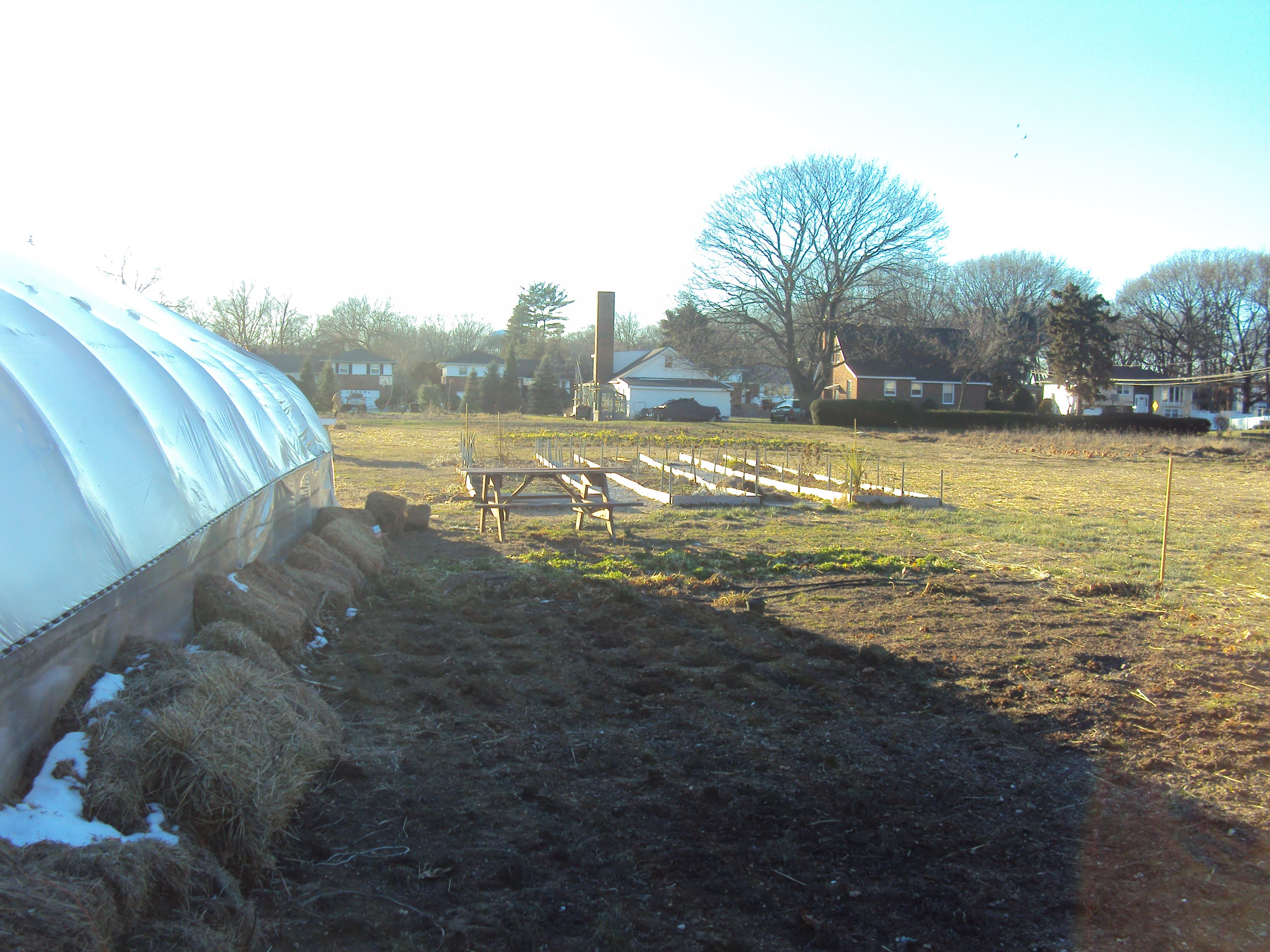 Friendly Farms Still in Conflict with Nassau County East Meadow, NY Patch