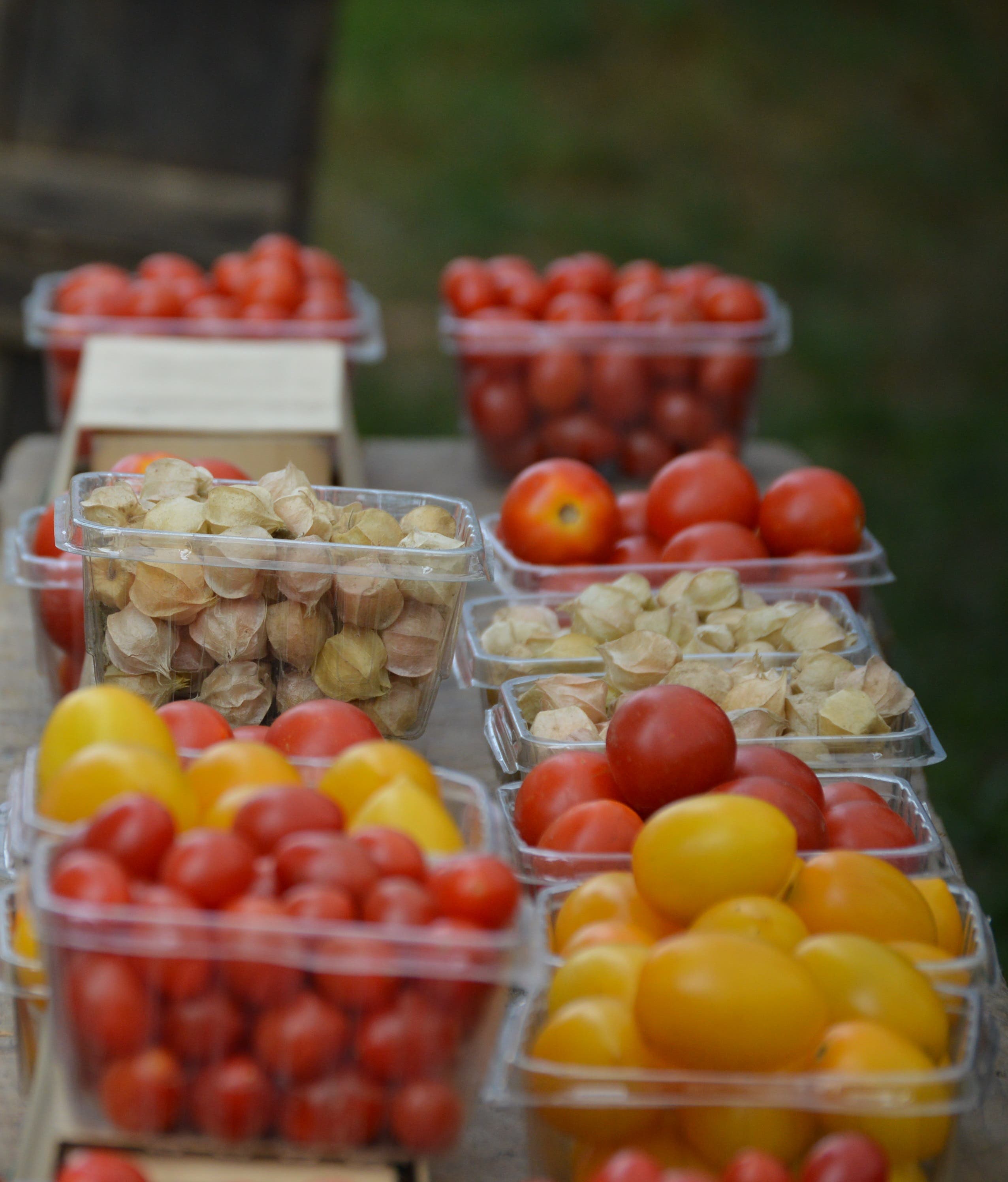 August 29 at Winchester Farmers Market Winchester, MA Patch