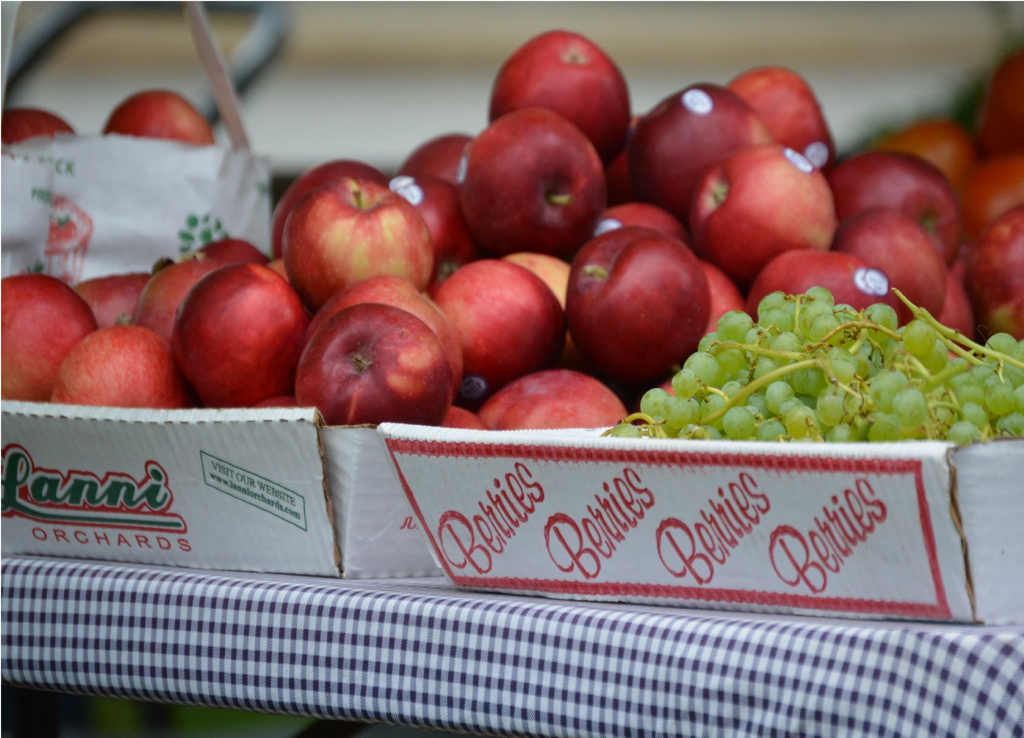 August 29 at Winchester Farmers Market Winchester, MA Patch