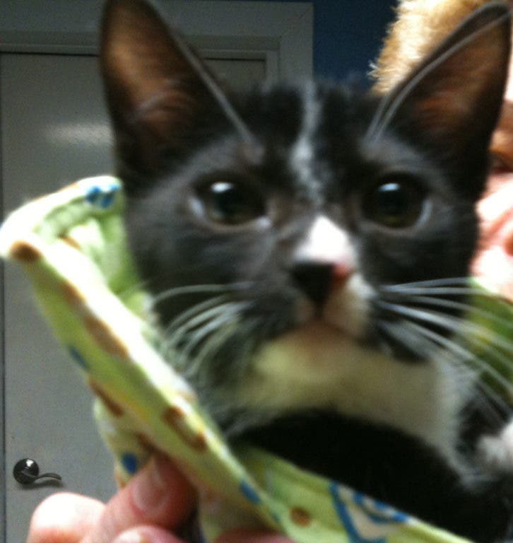 News small post card thumbnail