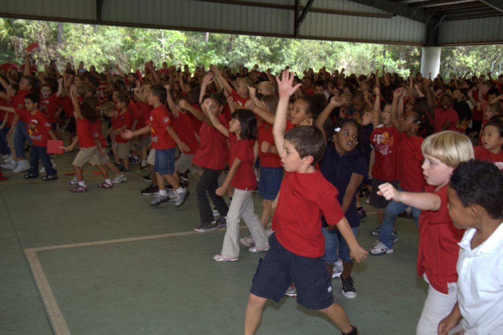 Chiles Elementary Students 'Play 60' New Tampa, FL Patch