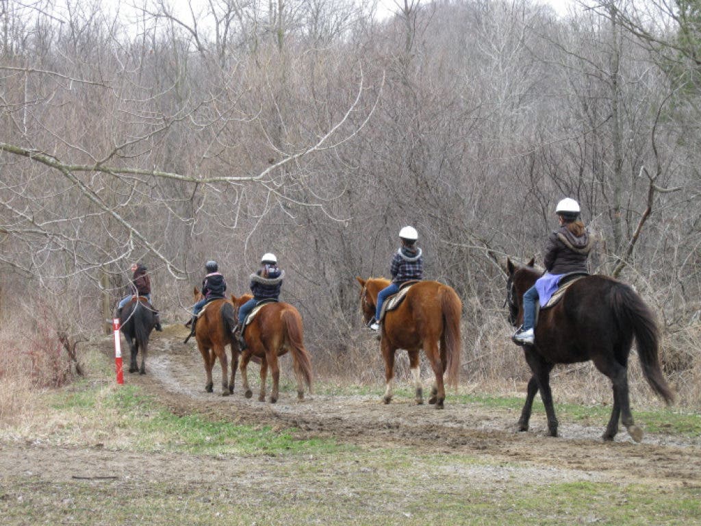 Maybury Riding Stable Offers Trail Rides, Pony Parties, and More Northville, MI Patch