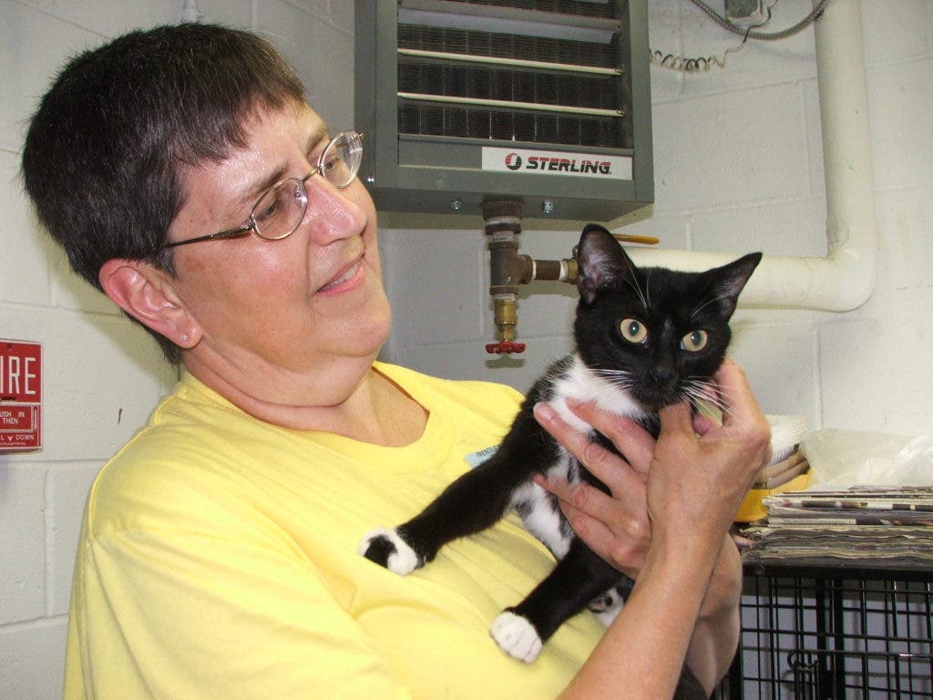 Animal Shelter Hosts Open House, Raises Money To Keep Its Cause Alive